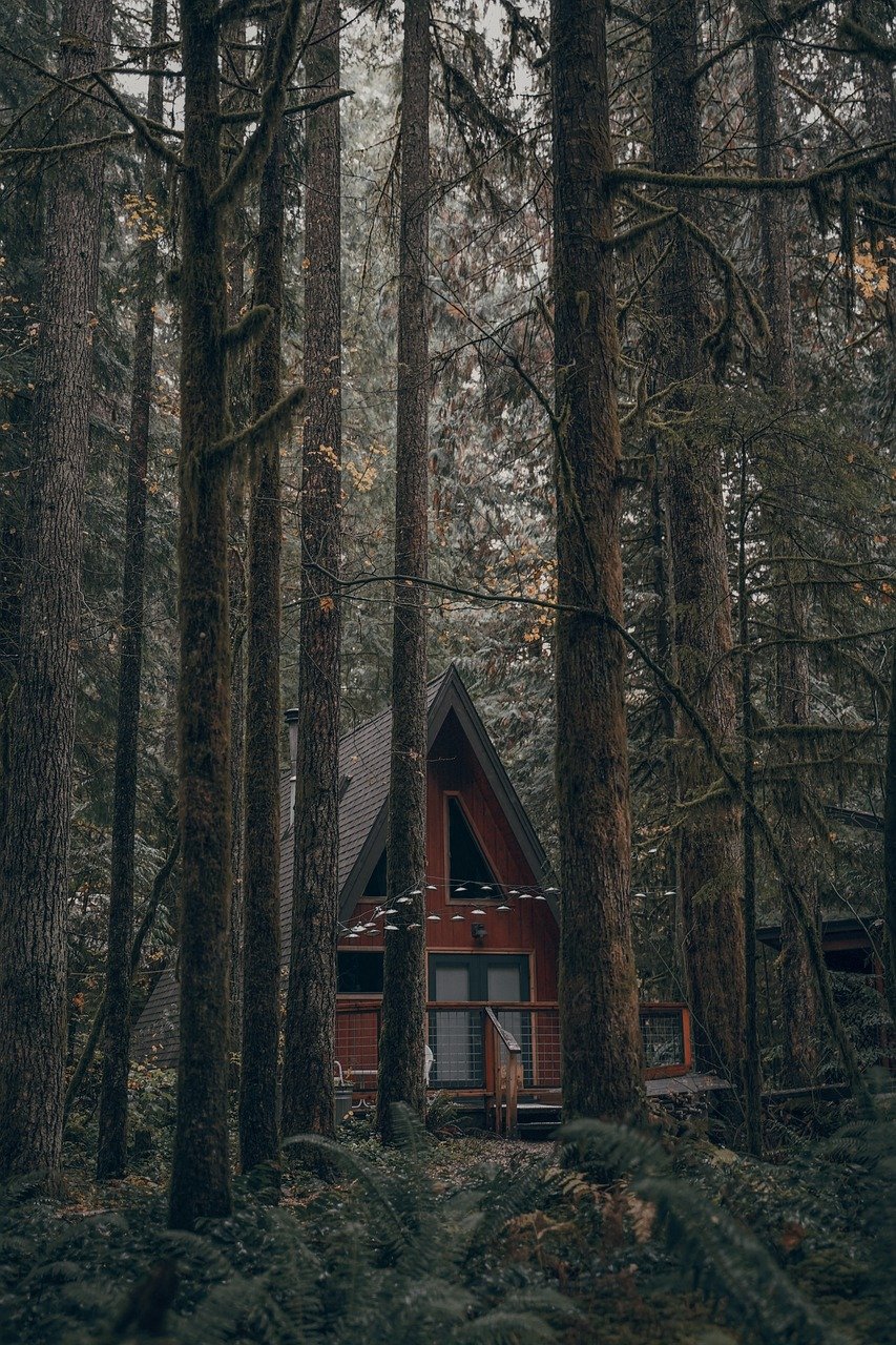house, forest, green, hill, cabin, log, trees, nature, cabin, cabin, cabin, cabin, cabin